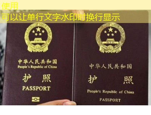 从六朝古都到全球舞台：南京好年华移民中介如何帮你把“故乡”装进行李箱